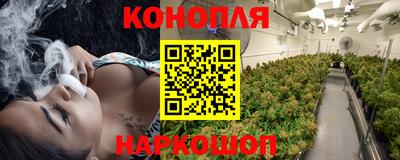 гашик Обнинск