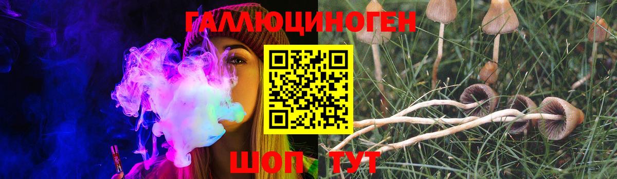 Псилоцибиновые грибы Magic Shrooms  Вход с VPN  Дагестанские Огни 